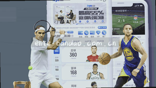 分步兼容检测与入口引导